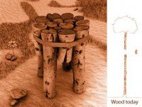 Ciptaan Siapa?