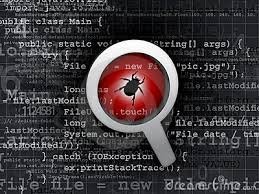 bugs