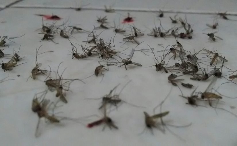 Bagaimana Manusia Menghadapi Masalah 1